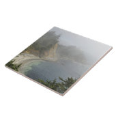USA, Oregon, Ocean View, Cape Arago, Bandon Fliese (Seite)