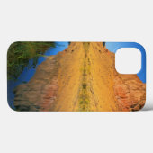 USA, Oregon, Owyhee River Canyon Case-Mate iPhone Hülle (Rückseite (Horizontal))
