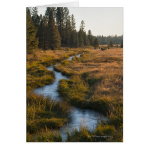 USA, Oregon, Paulina-Nebenfluss