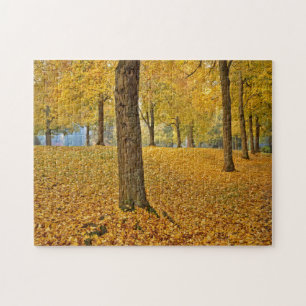 USA, Oregon, Portland. Amerikanische Lindenbäume Puzzle