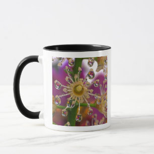 USA, Oregon, Portland. Cosmos-Blumen spiegeln sich Tasse