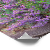 USA, Oregon, Portland. Explosion der Springzeit Poster (Ecke)