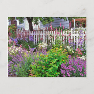 USA, Oregon, Portland. Explosion der Springzeit Postkarte