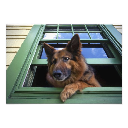 USA, Oregon, Portland. Griff nach dem Haar Fotodruck (Vorne)