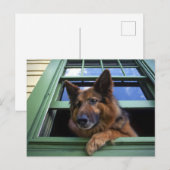 USA, Oregon, Portland. Griff nach dem Haar Postkarte (Vorne/Hinten)