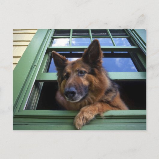 USA, Oregon, Portland. Griff nach dem Haar Postkarte (Vorderseite)