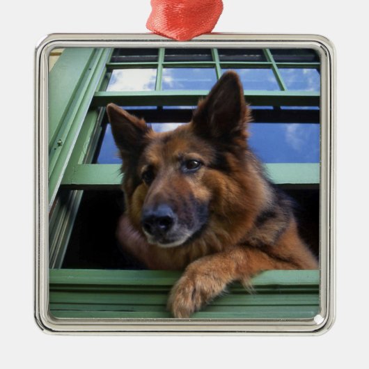 USA, Oregon, Portland. Griff nach dem Haar Silbernes Ornament (Vorne)