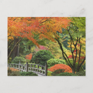 USA, Oregon, Portland. Holzbrücke und Ahorn Postkarte