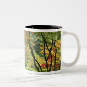USA, Oregon, Portland. Holzbrücke und Ahorn Zweifarbige Tasse