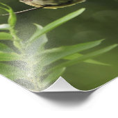 USA, Oregon, Portland. Männlicher Zedernwachs Fotodruck (Ecke)