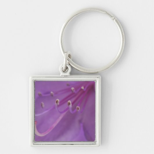 USA, Oregon, Portland. Nahe Schlüsselanhänger (Vorne)