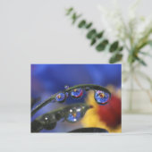 USA, Oregon, Portland, Naher Nachwuchs Postkarte (Stehend Vorderseite)