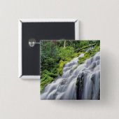 USA, Oregon, Proxy Falls. Proxy Falls stürzt Button (Vorne & Hinten)