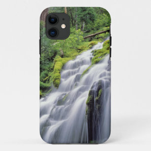USA, Oregon, Proxy Falls. Proxy Falls stürzt iPhone 11 Hülle