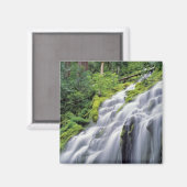 USA, Oregon, Proxy Falls. Proxy Falls stürzt Magnet (Vorderseite/Rückseite)