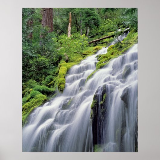 USA, Oregon, Proxy Falls. Proxy Falls stürzt Poster (Vorne)