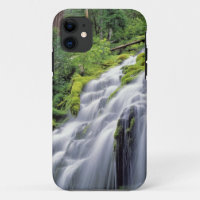 USA, Oregon, Proxy Falls. Proxy-Fallschirme