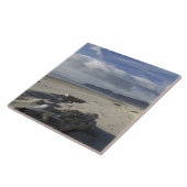 USA, Oregon, Sand Dunes and Ocean, Pacific City Fliese (Seite)