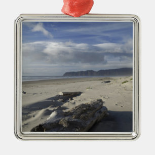 USA, Oregon, Sand Dunes and Ocean, Pacific City Ornament Aus Metall