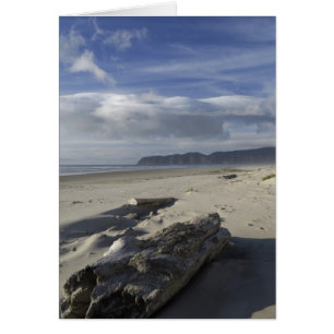 USA, Oregon, Sanddünen und Ozean, Pacific City