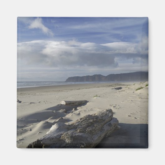 USA, Oregon, Sanddünen und Ozean, Pazifikstadt Magnet (Vorne)