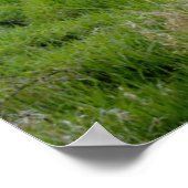 USA, Oregon, Scio, Shimanek Bridge Poster (Ecke)