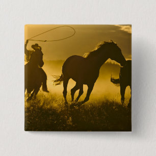 USA, Oregon, Seneca, Ponderosa Ranch. Button