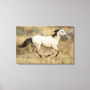 USA, Oregon, Seneca, Ponderosa Ranch. Pferd Leinwanddruck