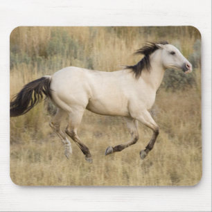 USA, Oregon, Seneca, Ponderosa Ranch. Pferd Mousepad