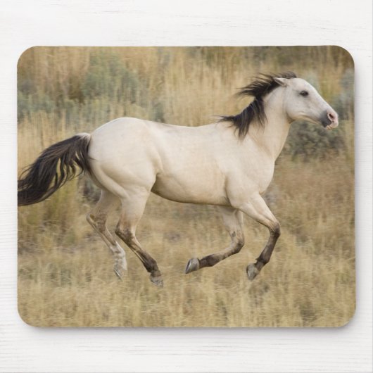 USA, Oregon, Seneca, Ponderosa Ranch. Pferd Mousepad (Vorne)