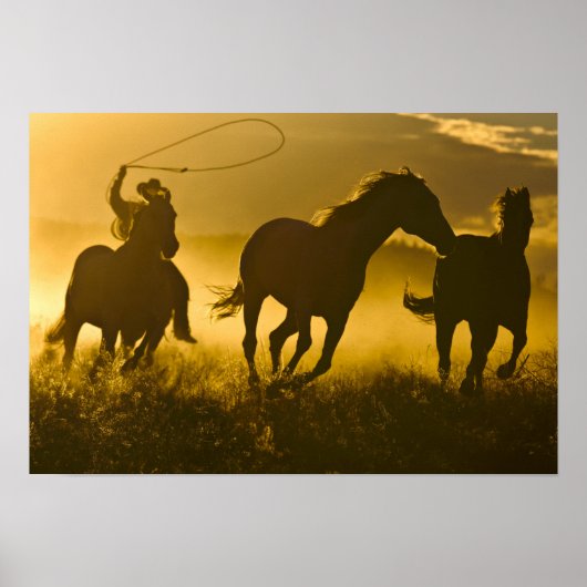 USA, Oregon, Seneca, Ponderosa Ranch. Poster (Vorne)