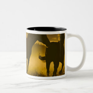 USA, Oregon, Seneca, Ponderosa Ranch. Zweifarbige Tasse