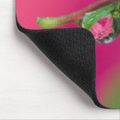 USA, Oregon, Shore Acres Gardens, Wassertröpfchen Mousepad (Ecke)
