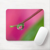 USA, Oregon, Shore Acres Gardens, Wassertröpfchen Mousepad (Mit Mouse)