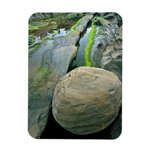 USA, Oregon, Shore Acres Staat Park Magnet (Vertikal)