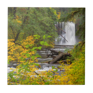 USA, Oregon, Silver Falls Staat Park 2 Fliese