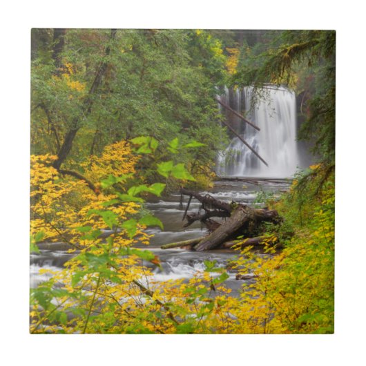 USA, Oregon, Silver Falls Staat Park 2 Fliese (Vorderseite)