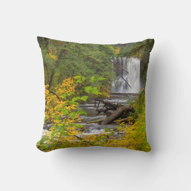 USA, Oregon, Silver Falls Staat Park 2 Kissen (Vorderseite)