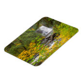 USA, Oregon, Silver Falls Staat Park 2 Magnet (Linke Seite)