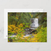 USA, Oregon, Silver Falls Staat Park 2 Postkarte (Vorne/Hinten)