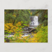 USA, Oregon, Silver Falls Staat Park 2 Postkarte (Vorderseite)