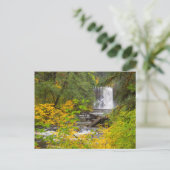 USA, Oregon, Silver Falls Staat Park 2 Postkarte (Stehend Vorderseite)