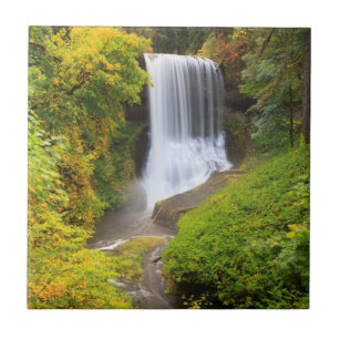 USA, Oregon, Silver Falls Staat Park 3 Fliese