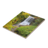 USA, Oregon, Silver Falls Staat Park 3 Fliese (Seite)