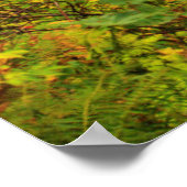 USA, Oregon, Silver Falls Staat Park 3 Poster (Ecke)