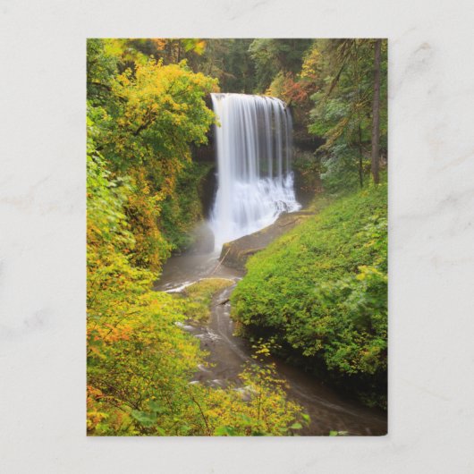 USA, Oregon, Silver Falls Staat Park 3 Postkarte (Vorderseite)