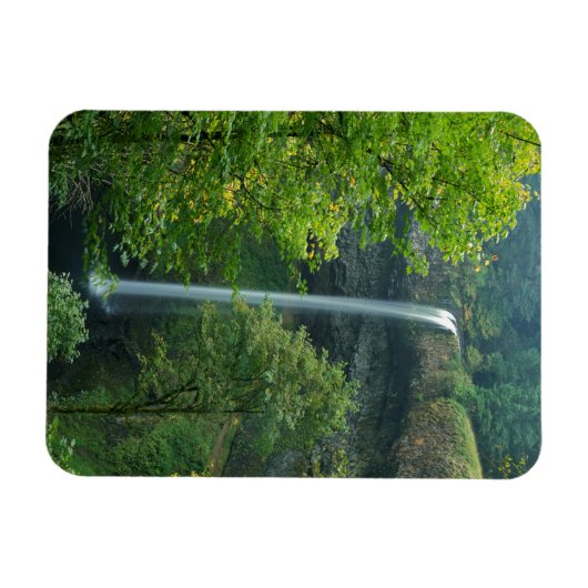 USA, Oregon, Silver Falls Staat Park Magnet (Horizontal)