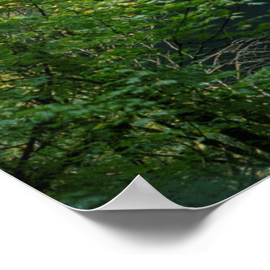 USA, Oregon, Silver Falls Staat Park Poster (Ecke)