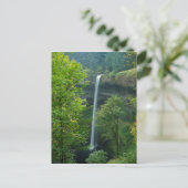 USA, Oregon, Silver Falls Staat Park Postkarte (Stehend Vorderseite)