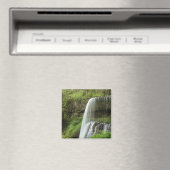 USA, Oregon, Silver Falls Staat Park. unten Magnet (In Situ (Geschirrspüler))